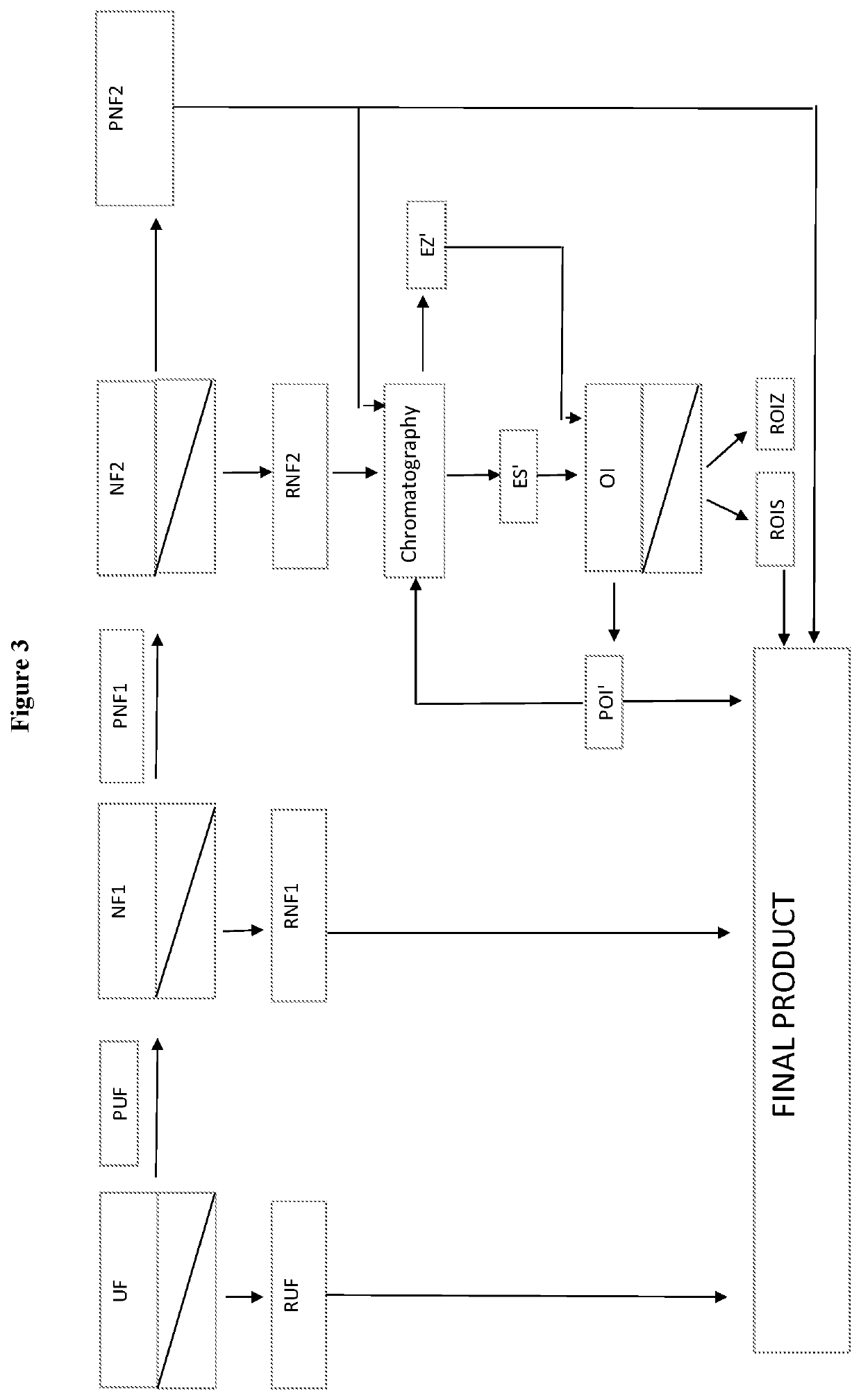 Process for preparing a lactose-free milk