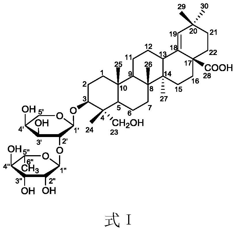 A kind of oleanane type triterpene saponin and its extraction and separation method and application