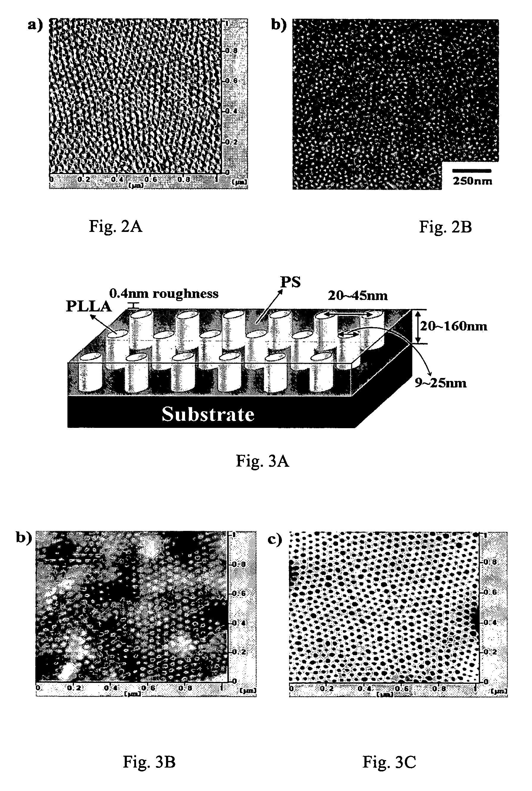 Nanopatterned templates from oriented degradable diblock copolymer thin films