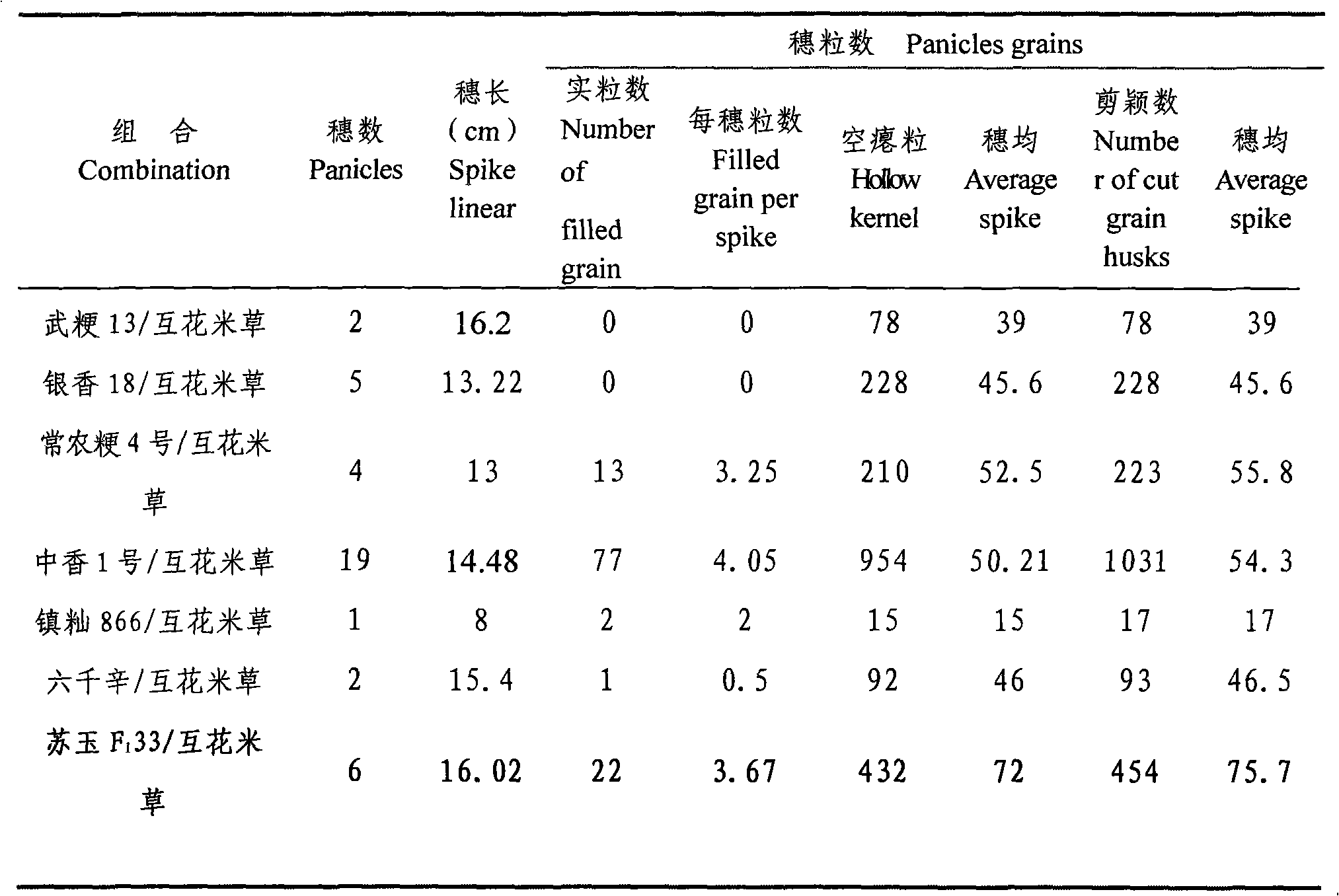 Distant hybridization breeding method among three categories of shoal spartina alterniflora loisel, maize and rice