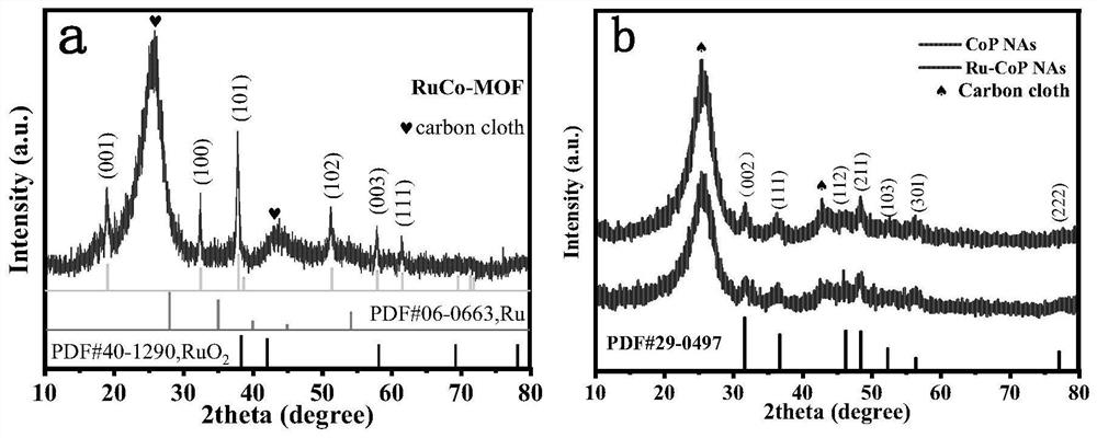 Preparation method and application of ruthenium-doped cobalt phosphide electrocatalyst