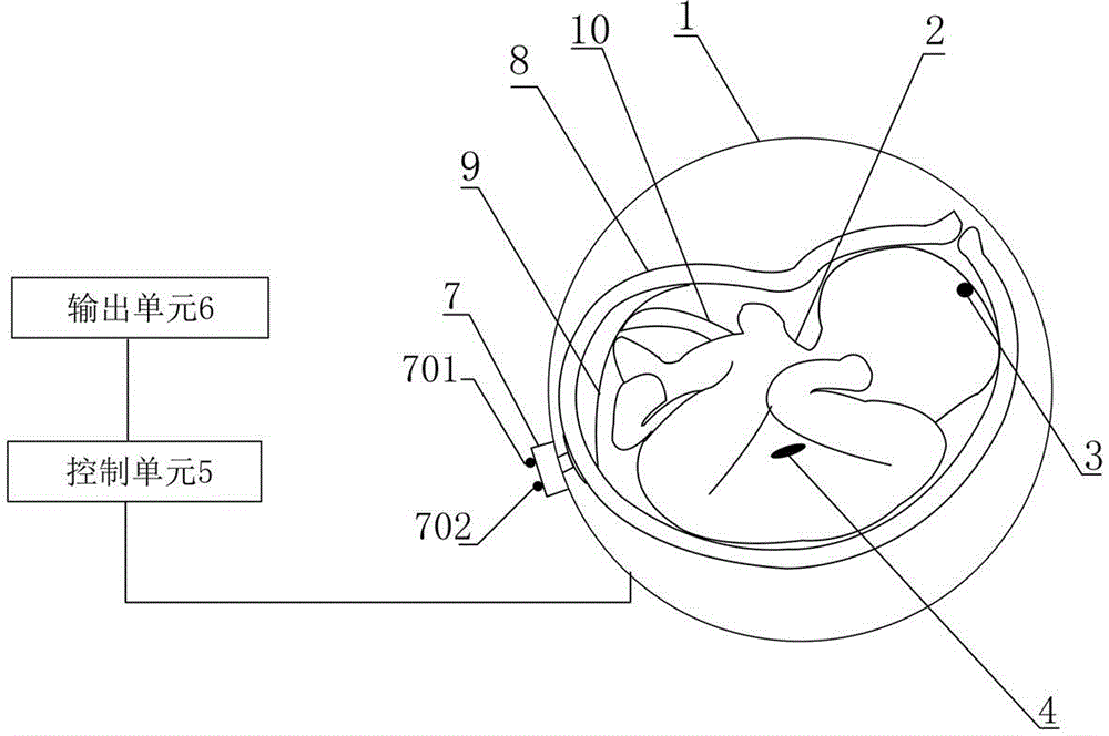 Fetal position detection simulation device