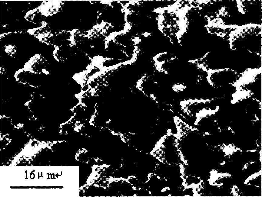 A processing method and apparatus of coal-firing gas