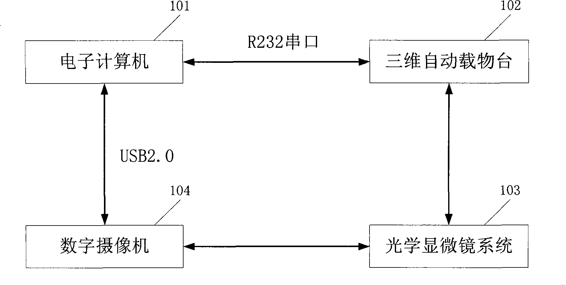 Computer automatic recognition apparatus and method for profile fiber