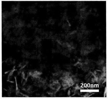 One-step preparation method of two-dimensional aminated boron nitride