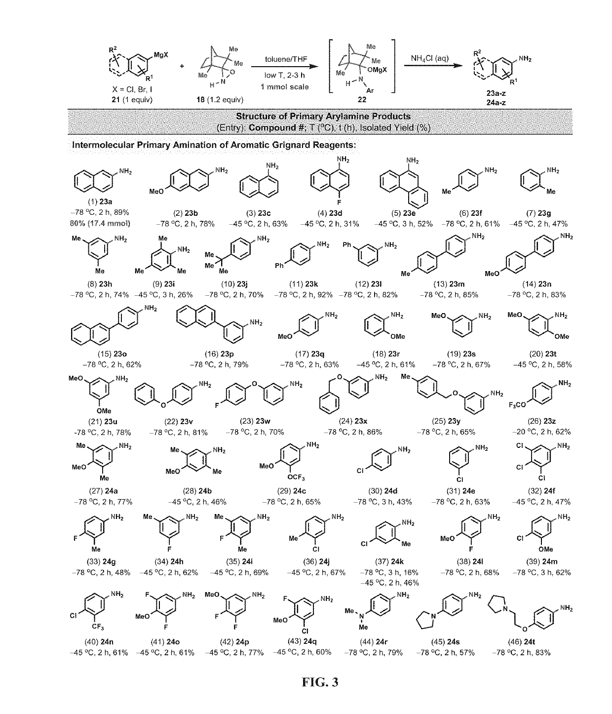 Amination and hydroxylation of arylmetal compounds