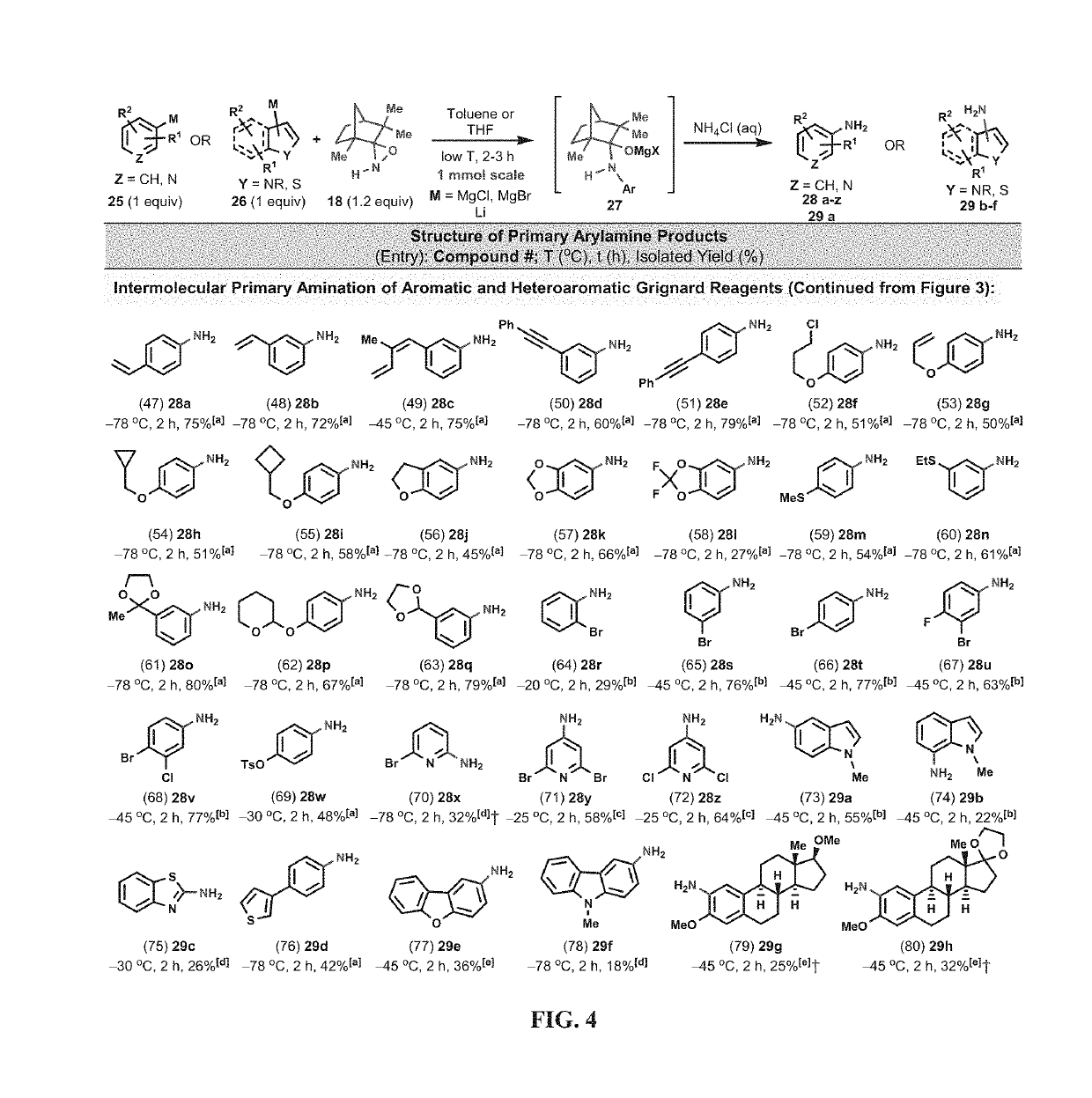 Amination and hydroxylation of arylmetal compounds