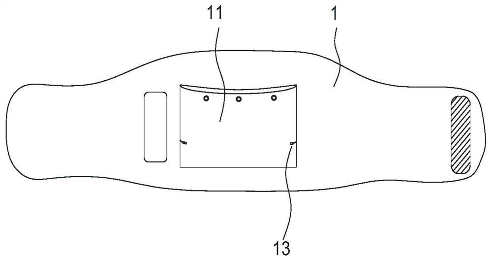 Non-layered molybdenum nanosheet/graphene-based traditional Chinese medicine hot compress device