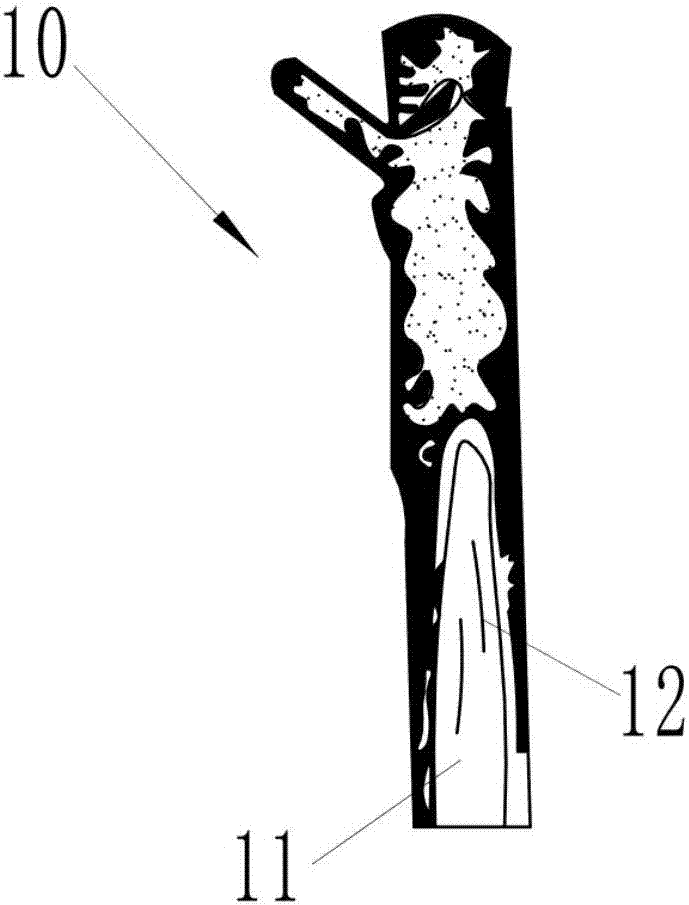 Winter greenhouse grafting and seedling formation method for apricot trees