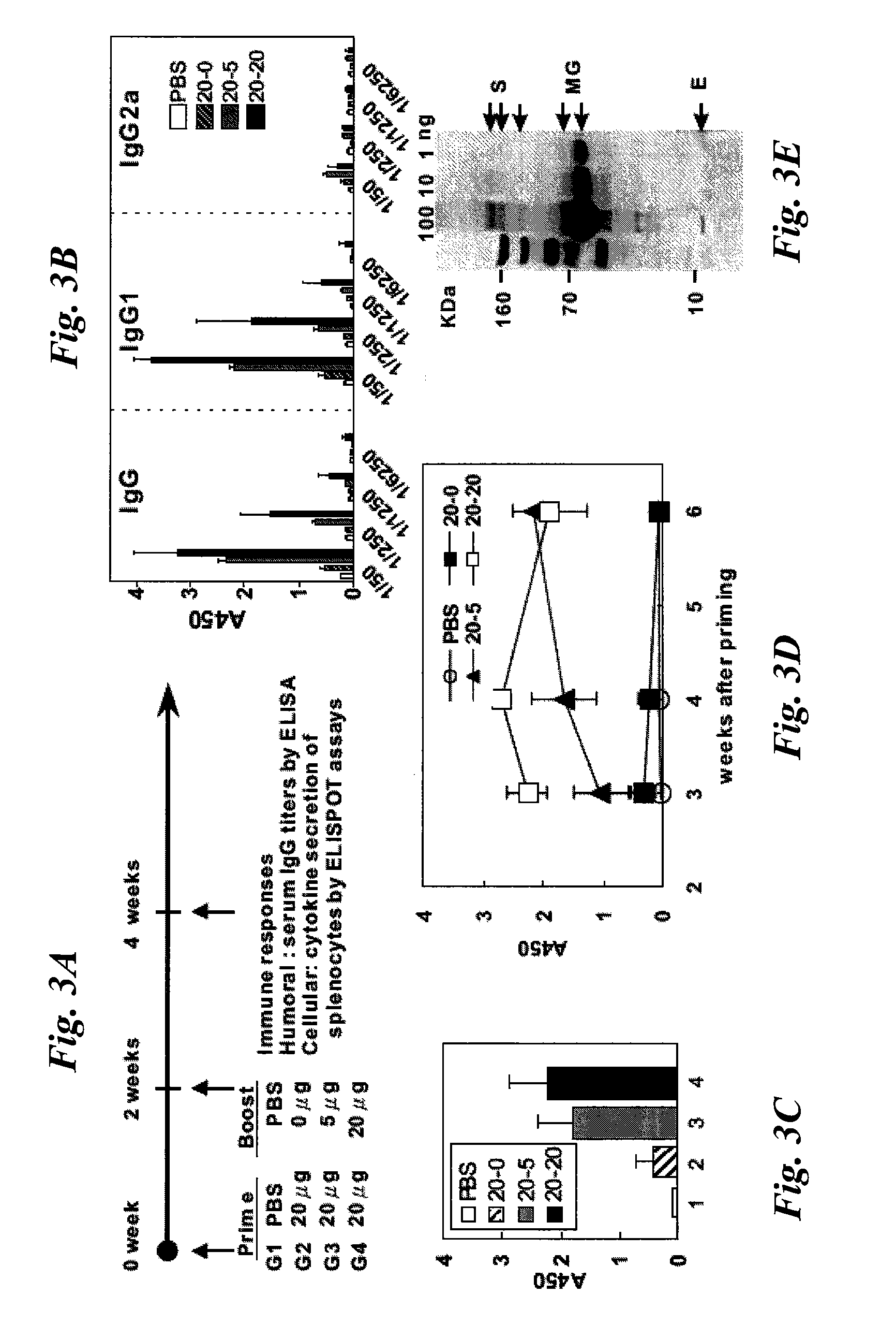 High-yield Transgenic Mammalian Expression System for Generating Virus-like Particles