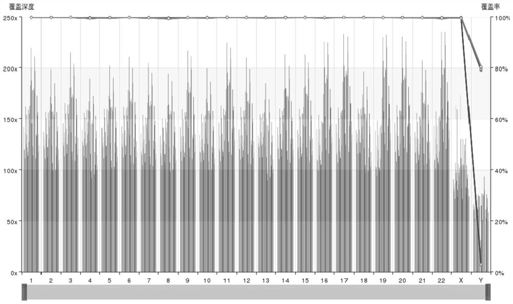 Spreading gene for acute exacerbation of chronic obstructive pulmonary disease and application thereof in predicting susceptible acute exacerbation of chronic obstructive pulmonary disease