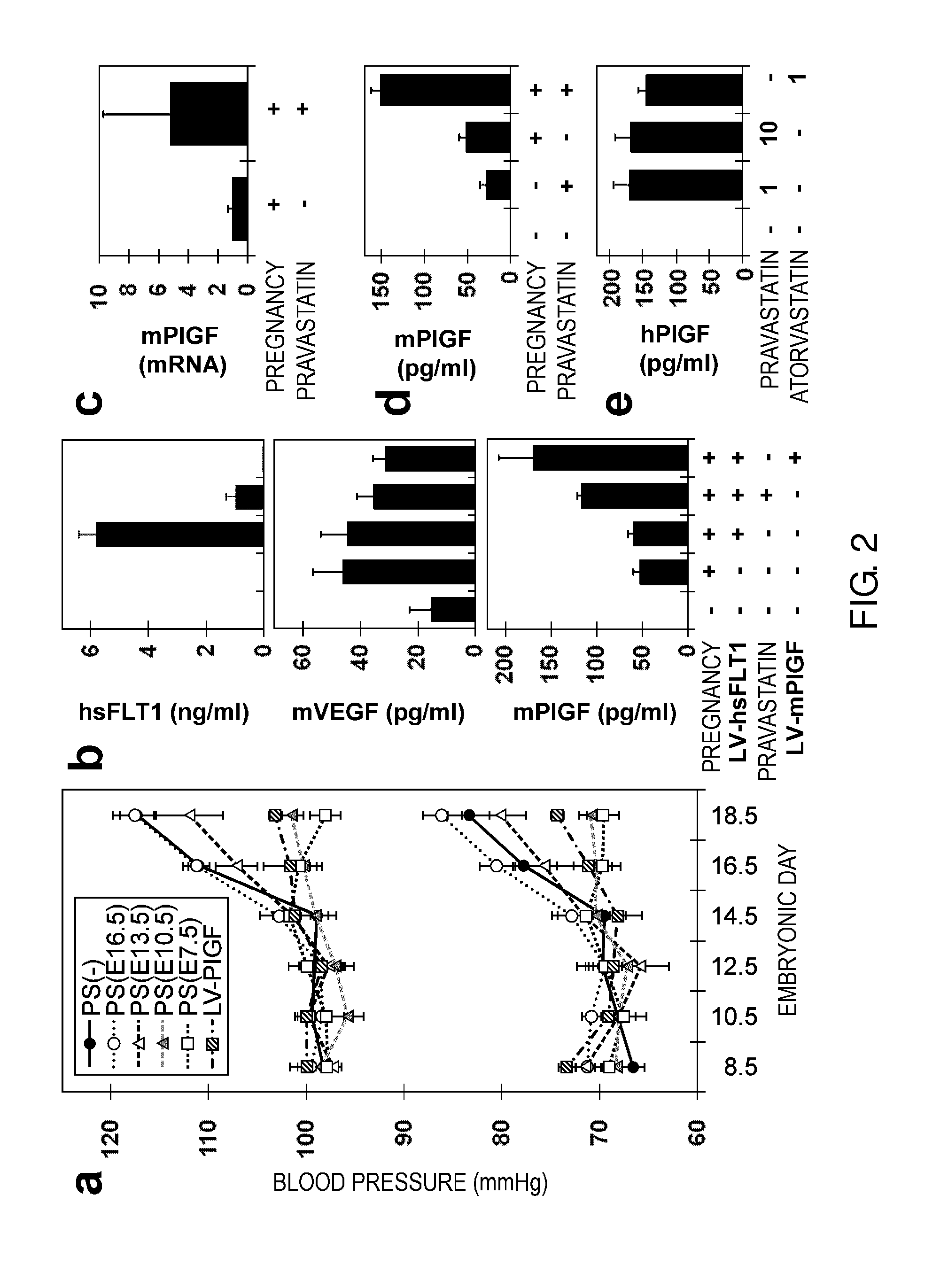 Model animal for pregnancy-induced hypertension syndrome, and treatment method therefor