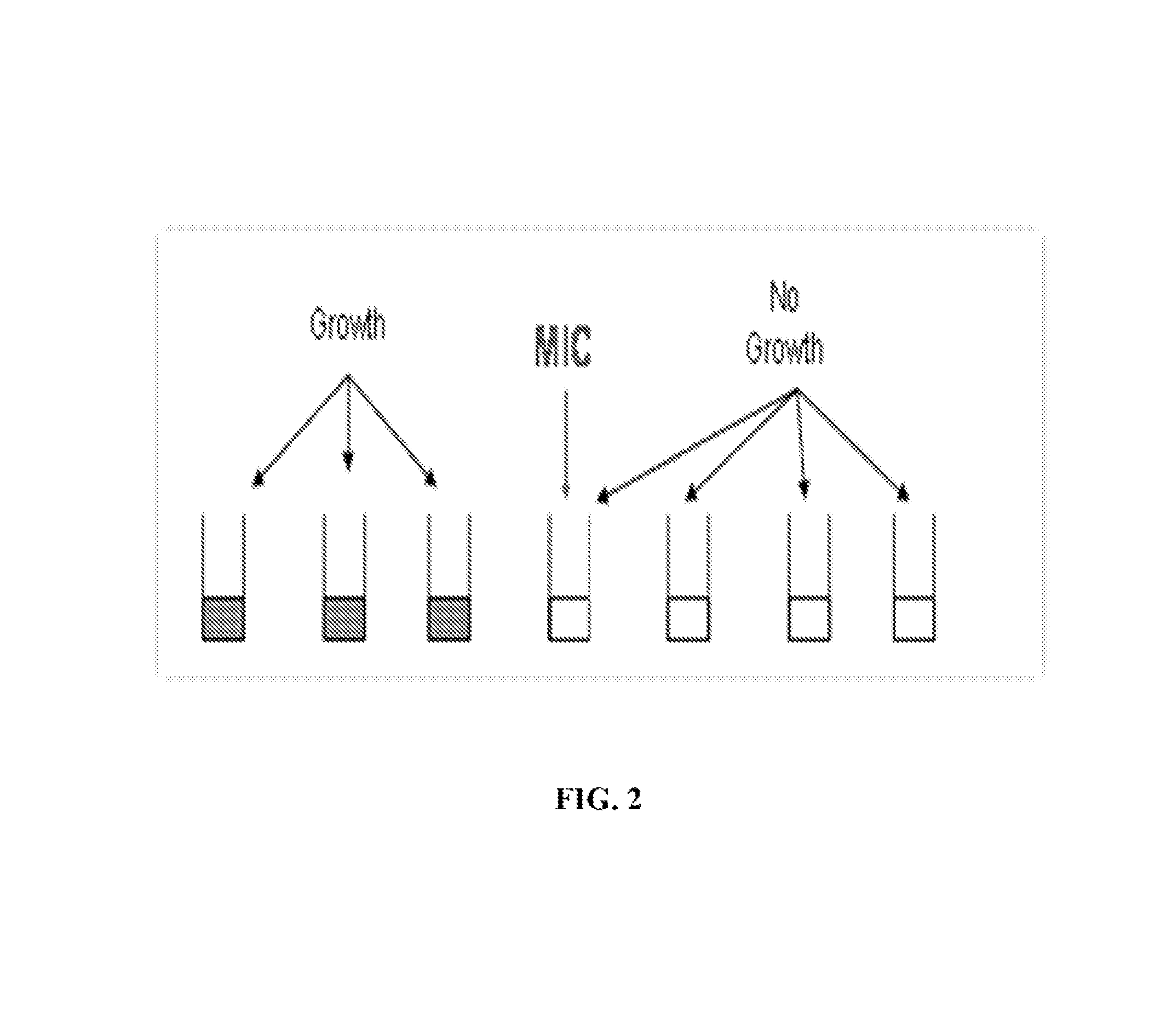 Aliphatic amino acid biosynthesis inhibitors and a method of synthesizing the same