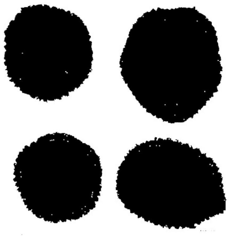 Nondestructive testing method and system for internal structure of fruit, electronic equipment and medium