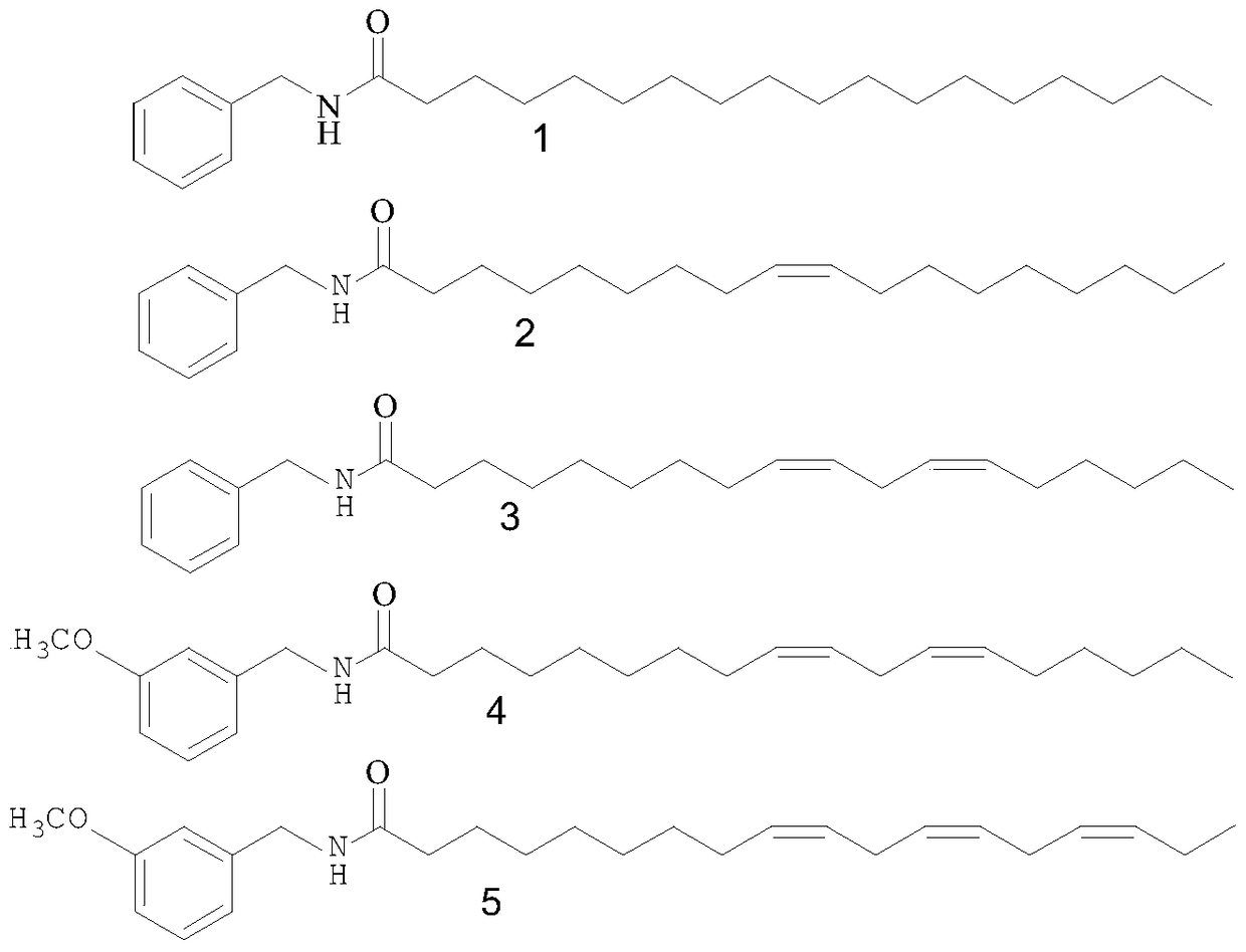 A method for efficiently preparing macamide monomer from maca