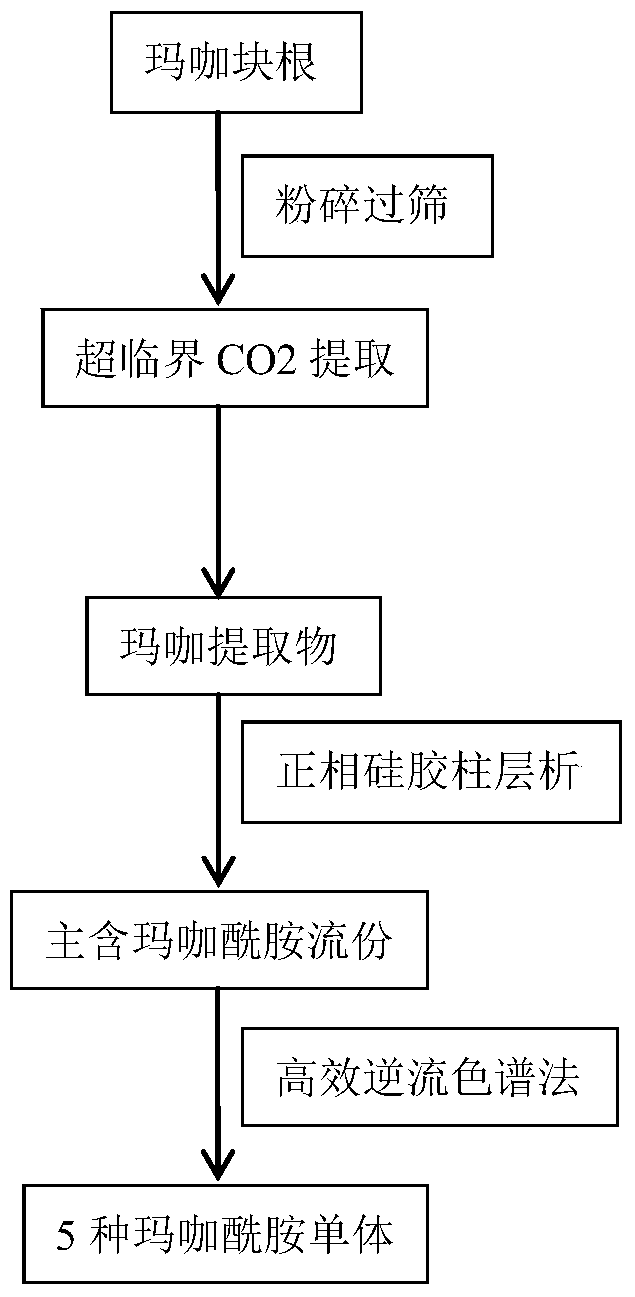 A method for efficiently preparing macamide monomer from maca