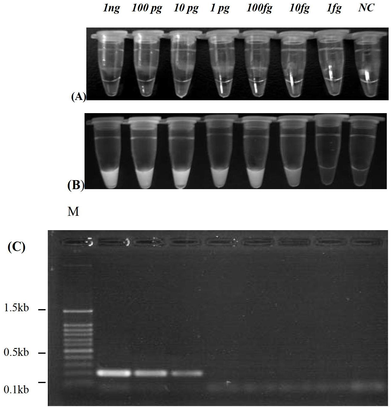 Reverse transcription-loop-mediated isothermal amplification (RT-LAMP) visual detection kit for H1 avian influenza virus