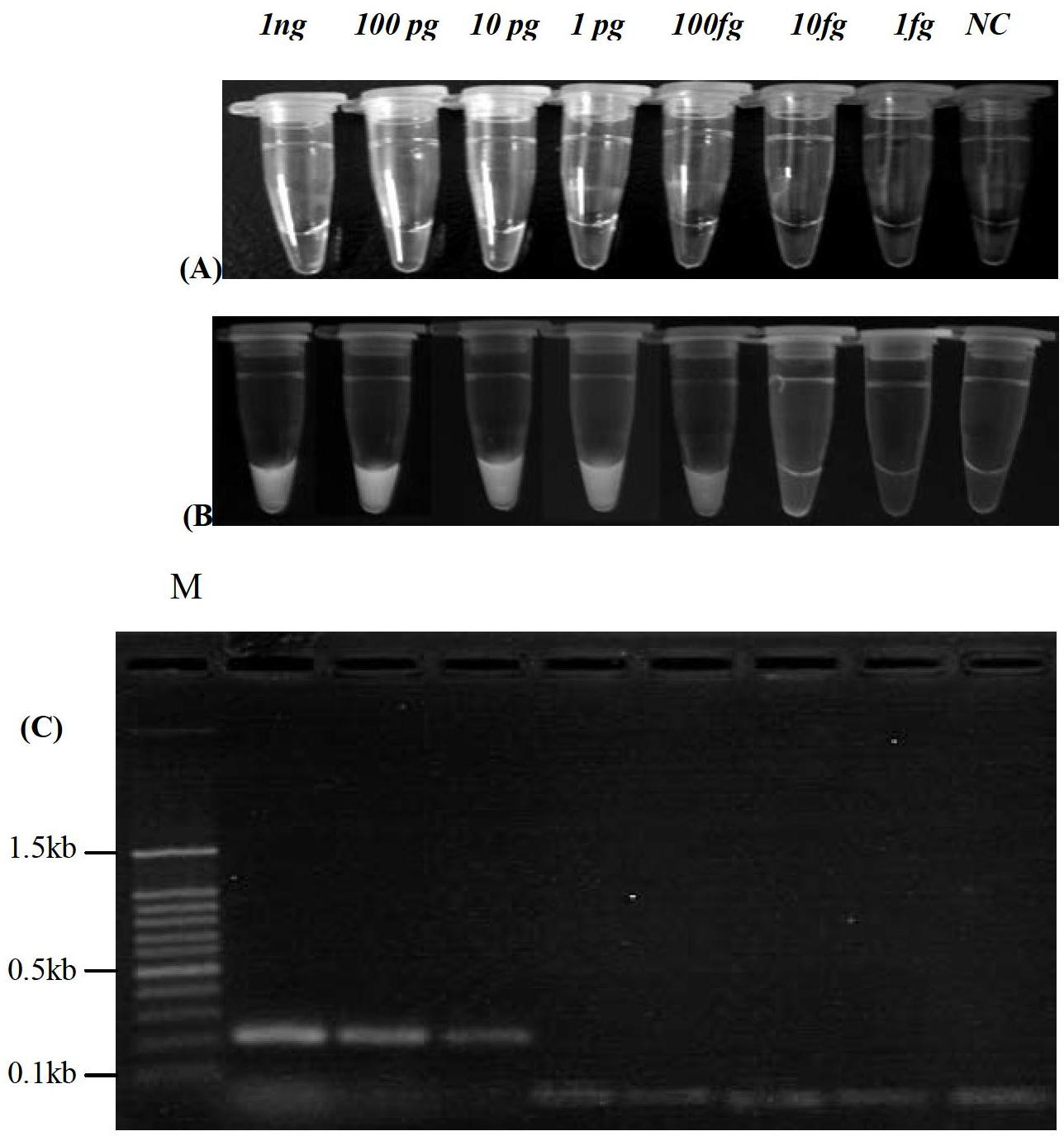 Reverse transcription-loop-mediated isothermal amplification (RT-LAMP) visual detection kit for H1 avian influenza virus