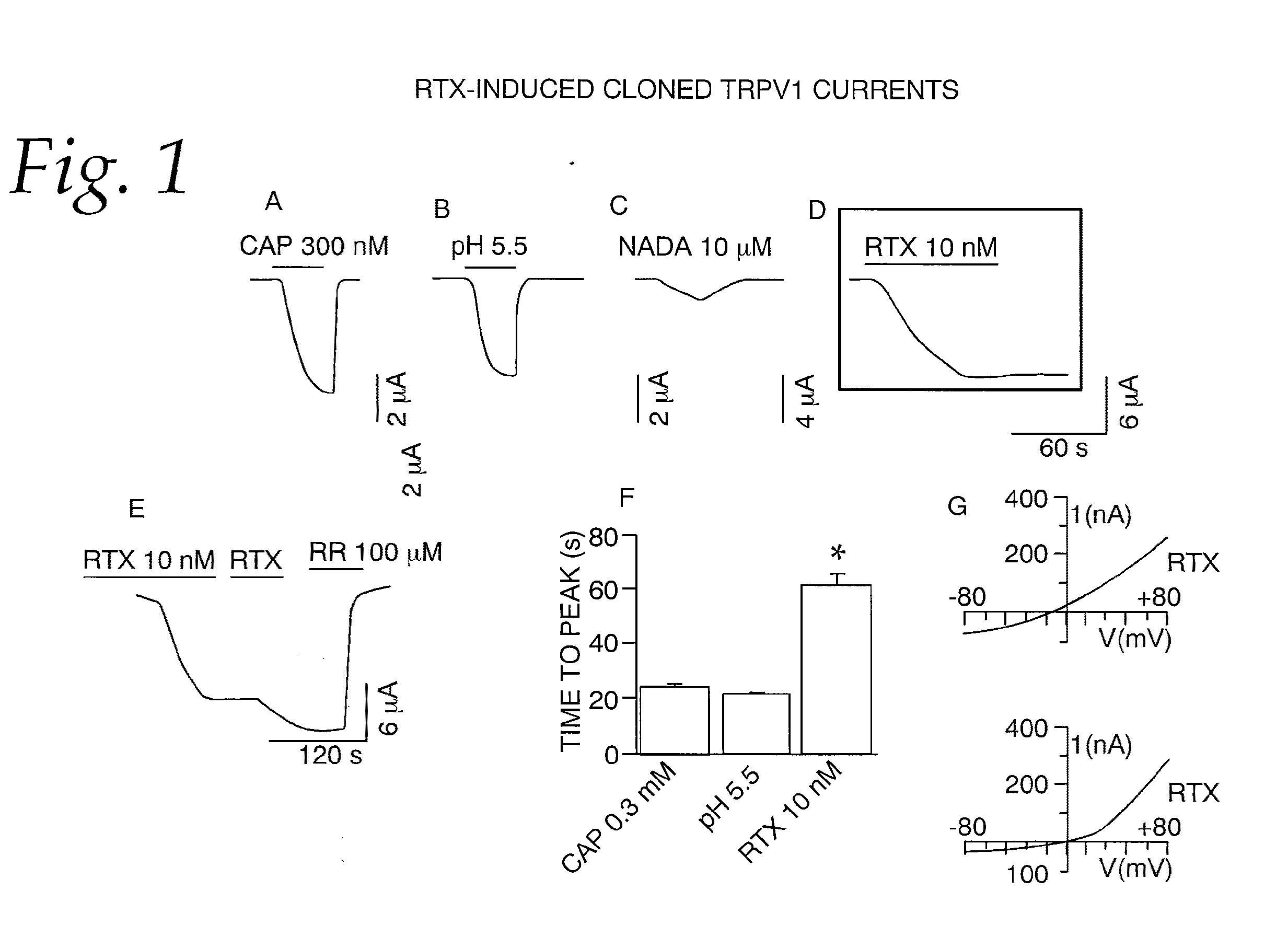 Treatment of Pain With Resiniferatoxin and Related Analogs