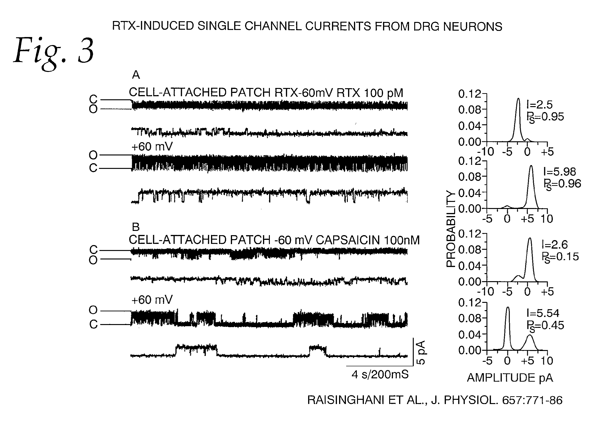 Treatment of Pain With Resiniferatoxin and Related Analogs