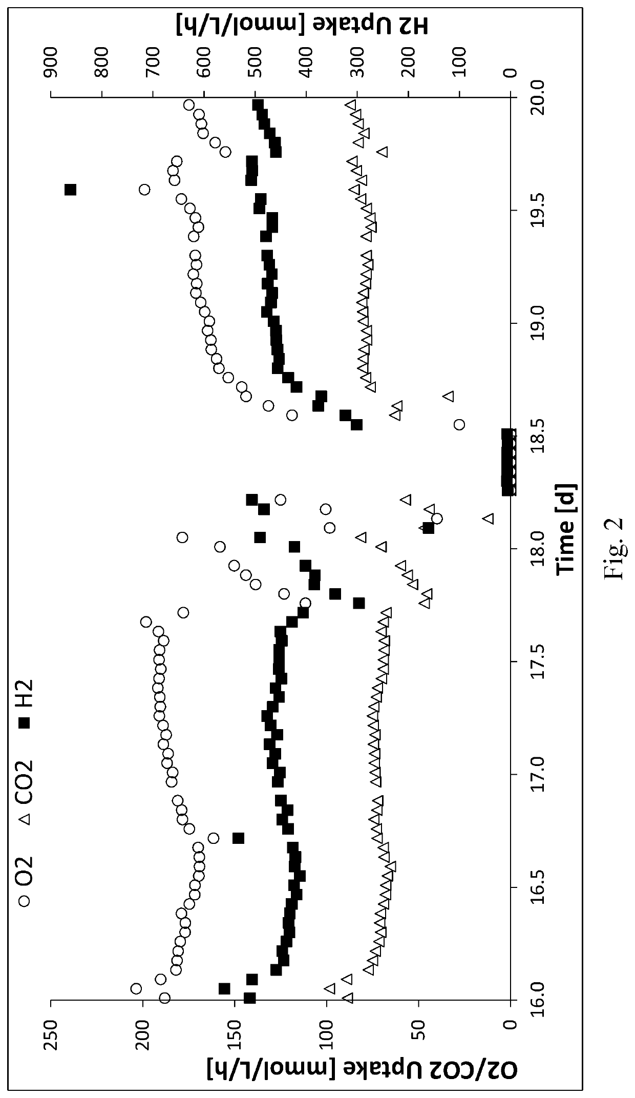 Method and system for storing energy in the form of biopolymers