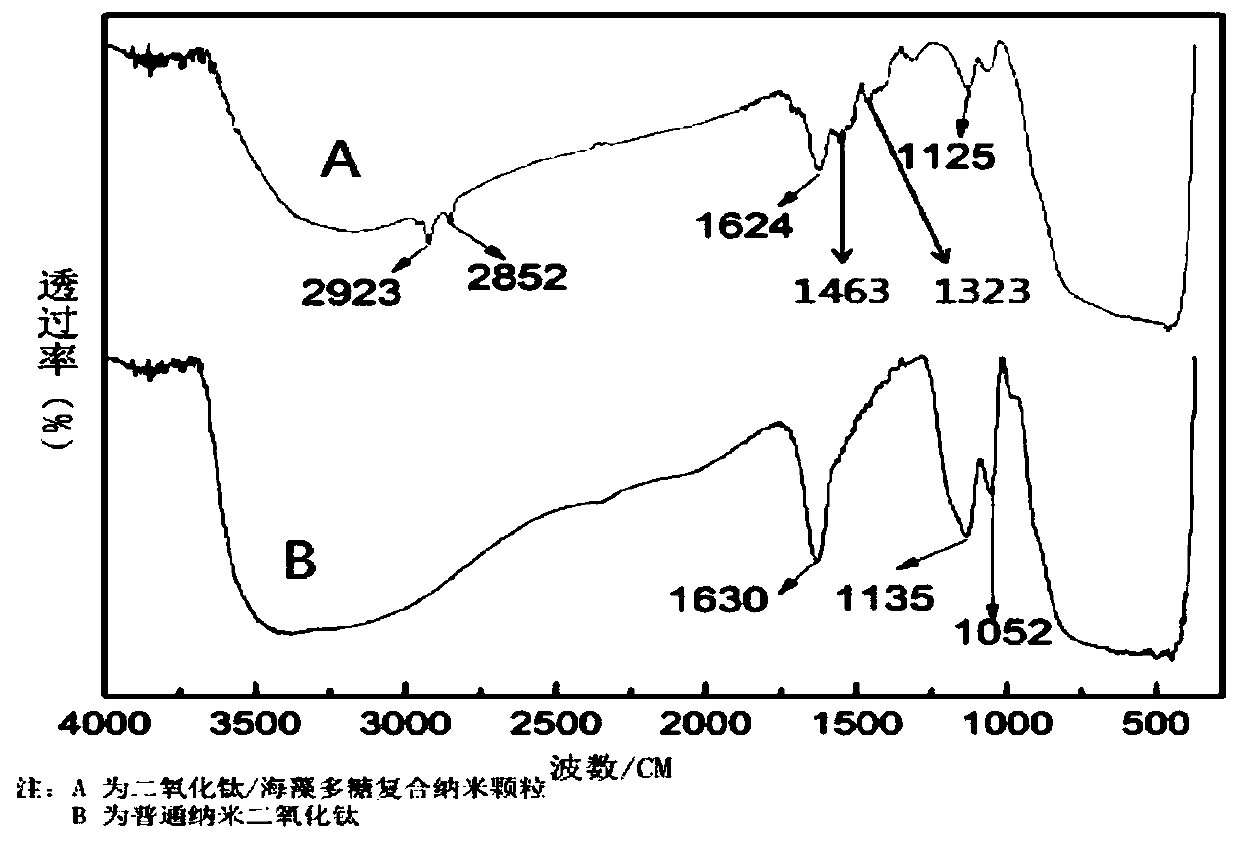 A kind of titanium dioxide/seaweed polysaccharide composite nanoparticle and its preparation method and application