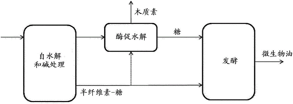 Method of processing lignocellulosic material using an alkaline delignification agent