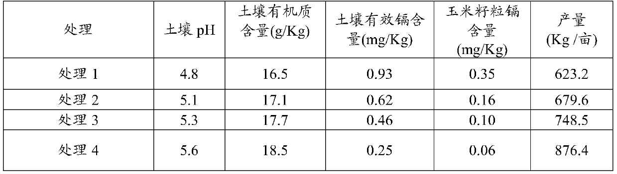 Soil conditioner and preparation method thereof