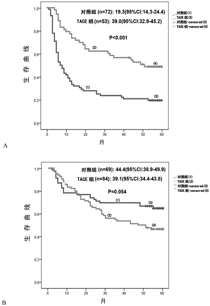 Application of rna polymerase ii fifth subunit regulatory protein in preparation of reagents for hepatocellular carcinoma prognosis or auxiliary tace prognosis