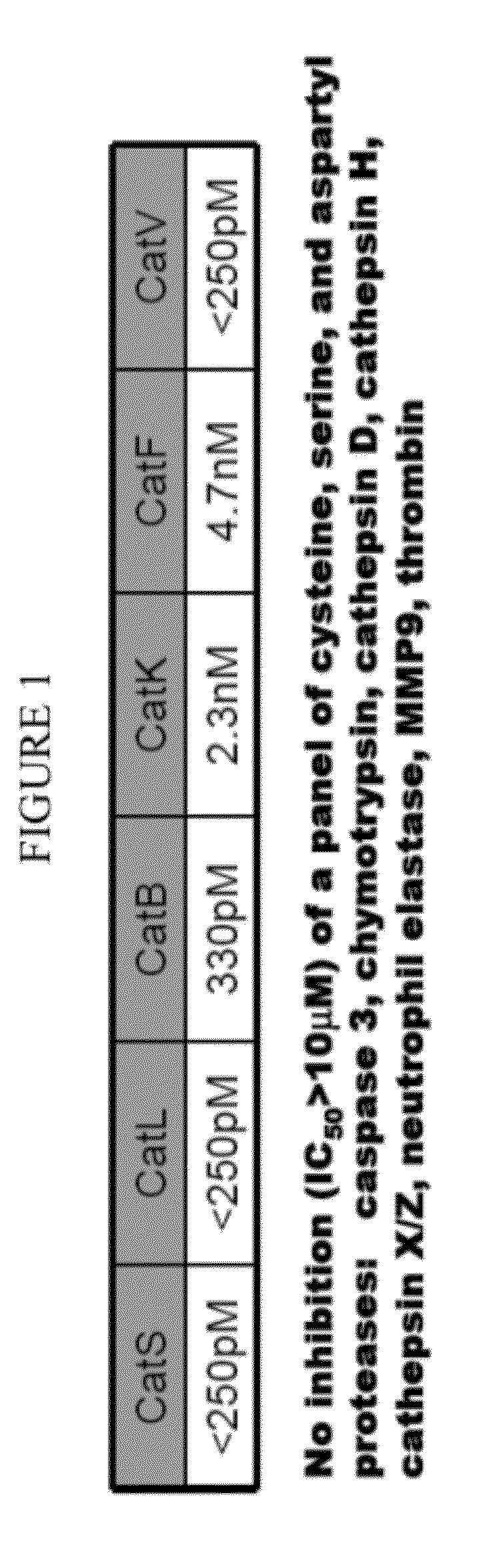 Cathepsin inhibitors for the treatment of bone cancer and bone cancer pain