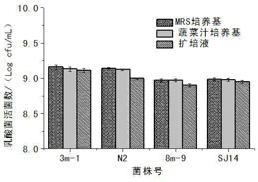 Lactobacillus propagation solution preparation method and inoculant preparation method in industrial salted vegetable production