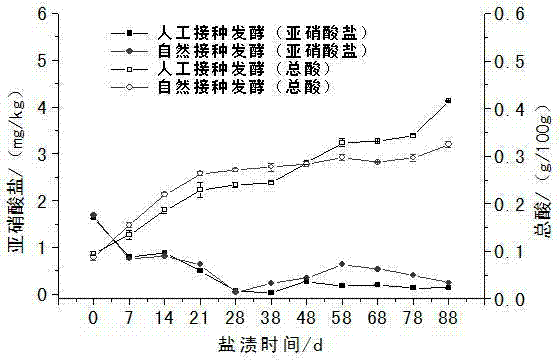 Lactobacillus propagation solution preparation method and inoculant preparation method in industrial salted vegetable production