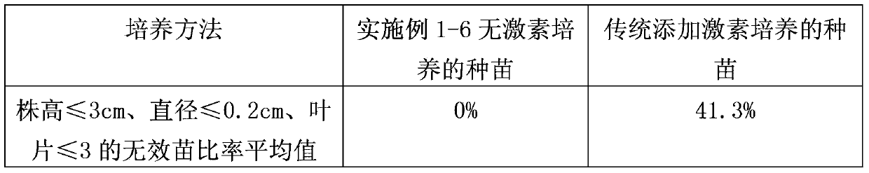 Hormone-free tissue culture and rapid propagation method of anoectochilus formosanus seedlings