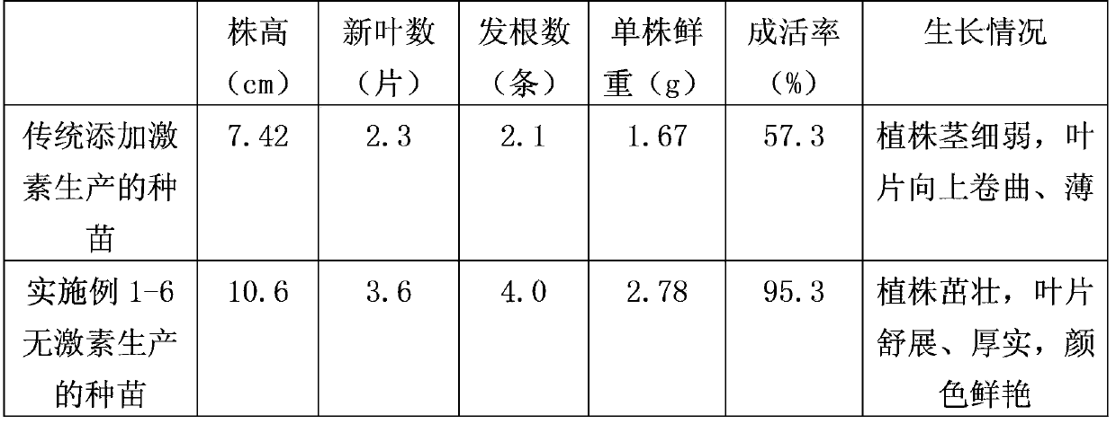 Hormone-free tissue culture and rapid propagation method of anoectochilus formosanus seedlings