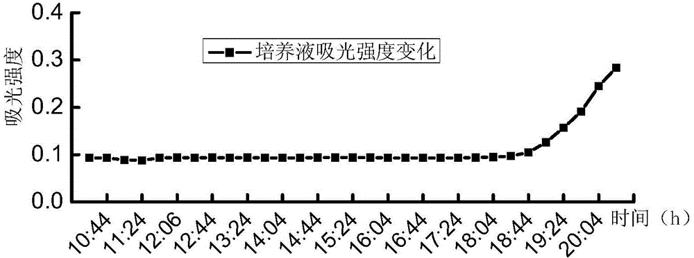 Method for detecting Escherichia coli in water and detection culture solution