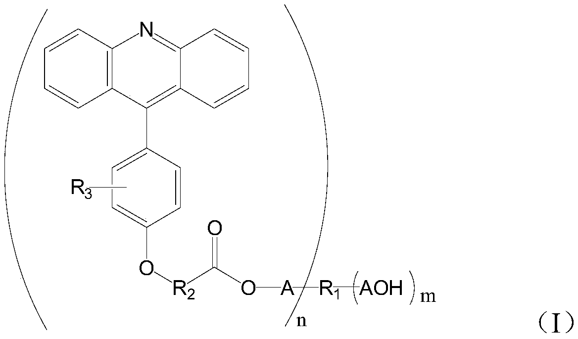 A kind of 9-phenylacridine macromolecular photosensitizer and its preparation method and application