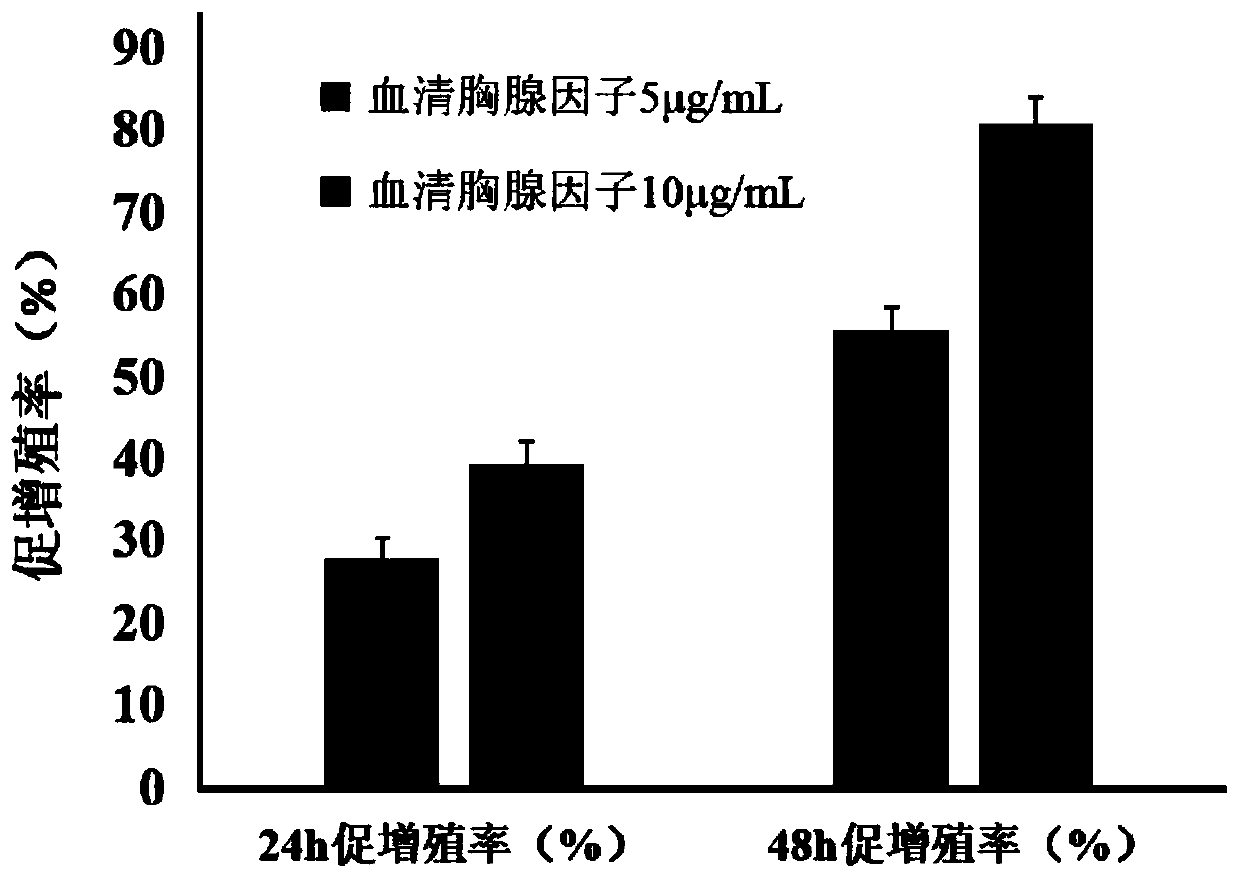 Application of serum thymus factor in promoting proliferation of human amniotic mesenchymal stem cells in vitro and preparing proliferation culture medium