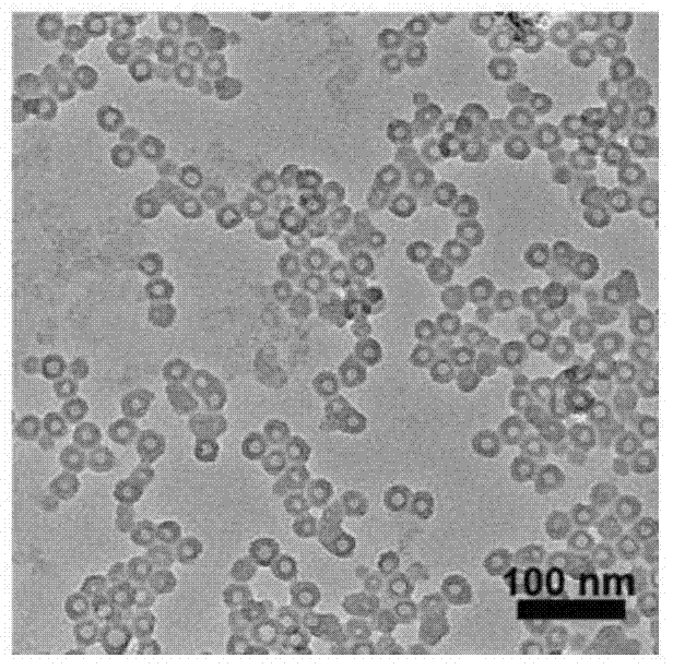 Anticancer nano medicament loading arsenical and preparation method thereof