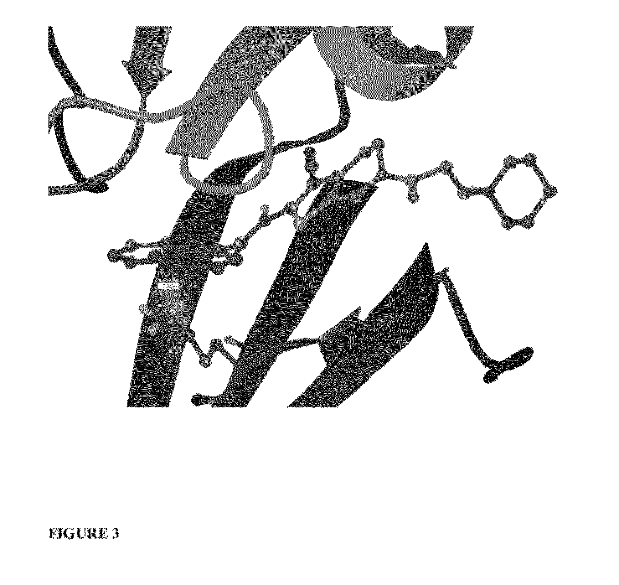 Scoring Function Penalizing Compounds Which Desolvate Charged Protein Side Chains Structure