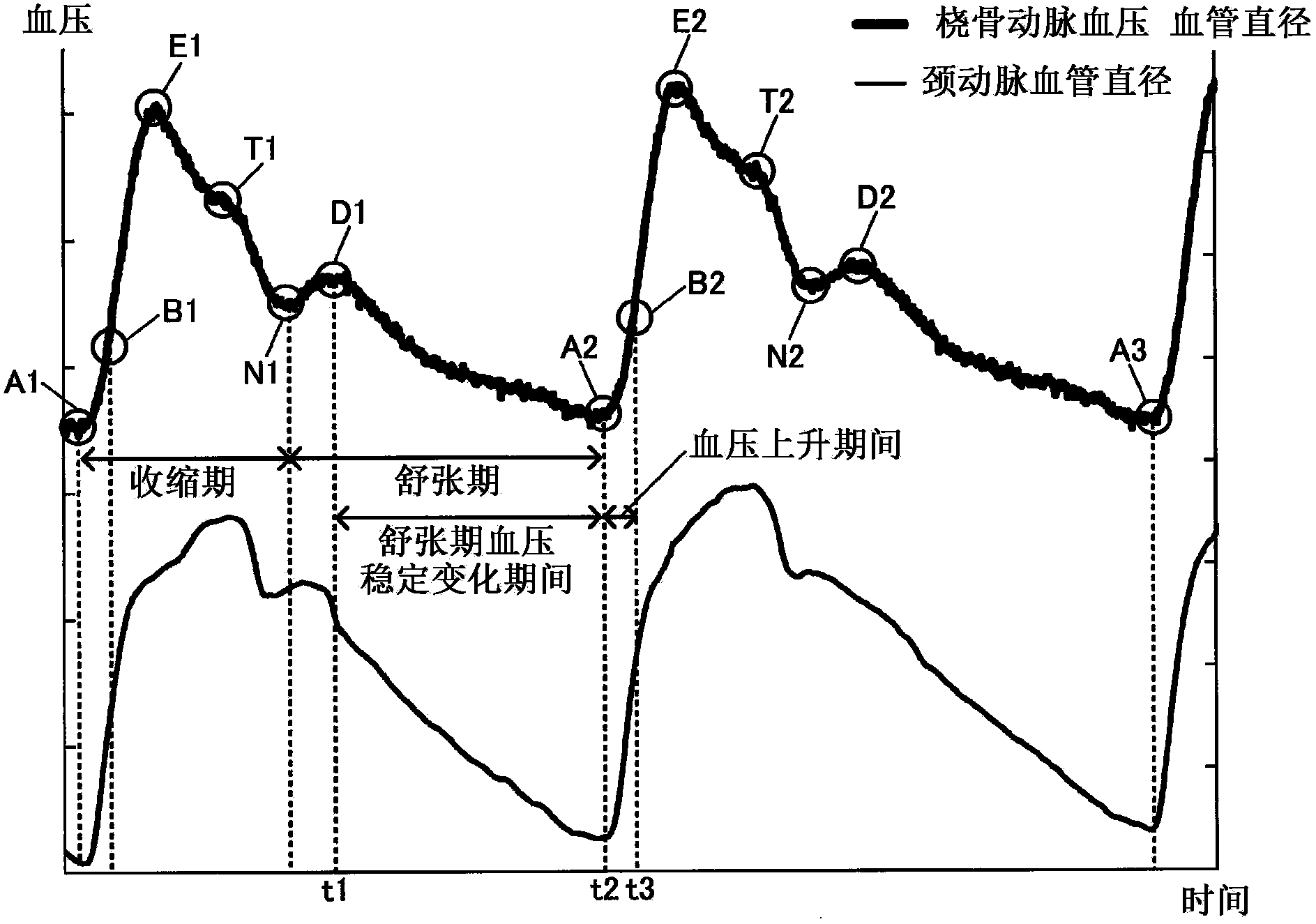 Blood pressure measuring apparatus and method for calibrating central blood pressure estimation parameter