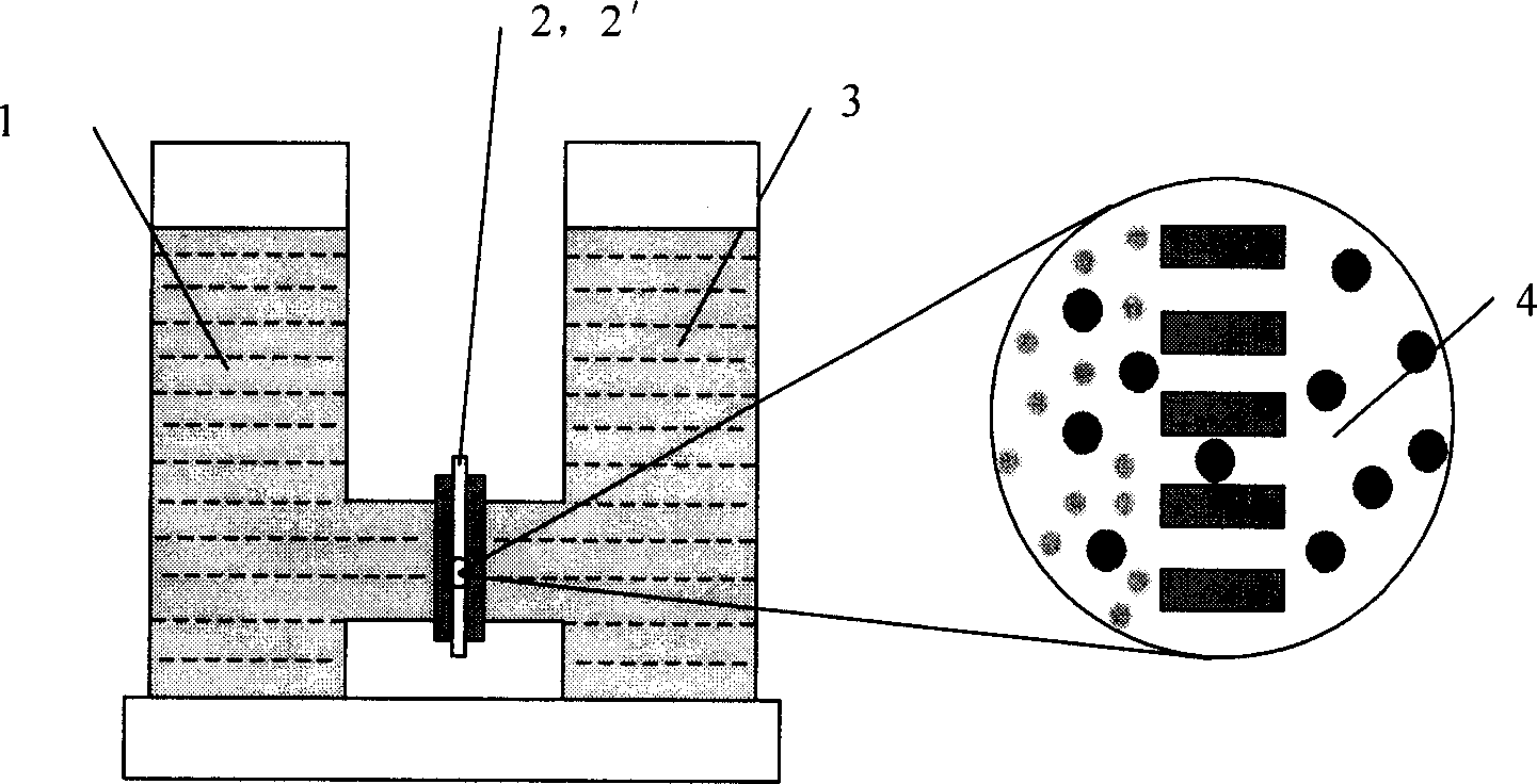 Separation and selection tool based on Au nano channel array and preparation method thereof