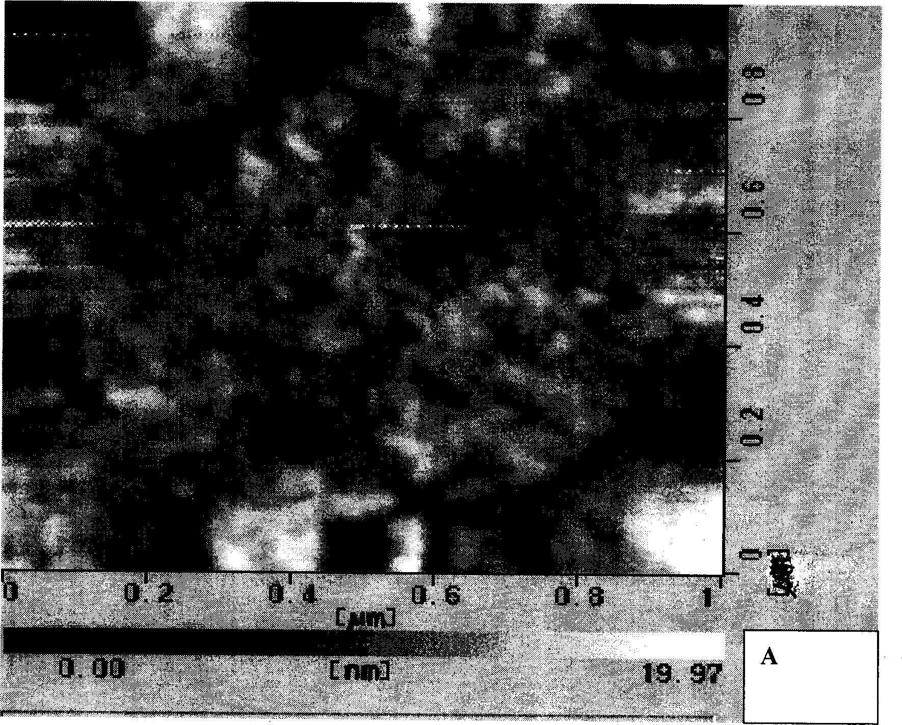 Separation and selection tool based on Au nano channel array and preparation method thereof