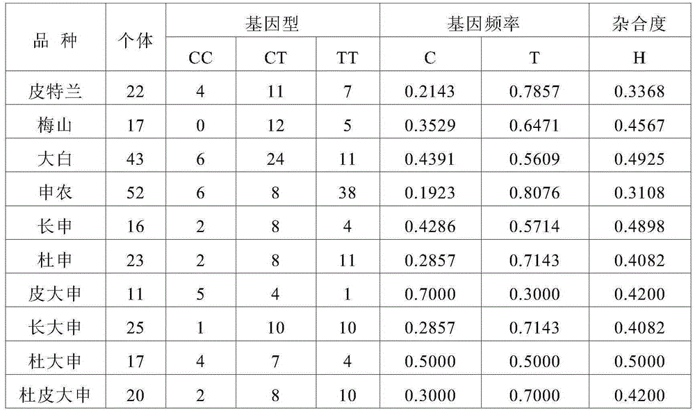 SNP molecular markers used in chromosome 6 of pig for traceability and application thereof