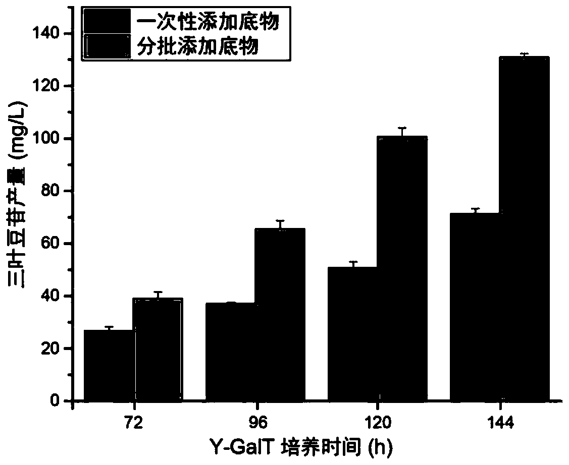 Epimedium source galactosyl transferase and application of epimedium source galactosyl transferase to preparation of hyperoside