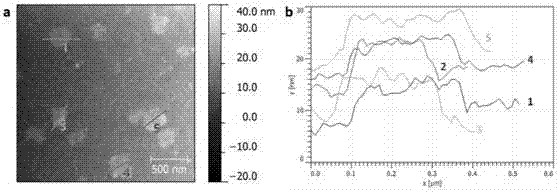 Functionalized boron nitride nanosheet and preparation method and application thereof