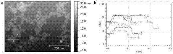 Functionalized boron nitride nanosheet and preparation method and application thereof