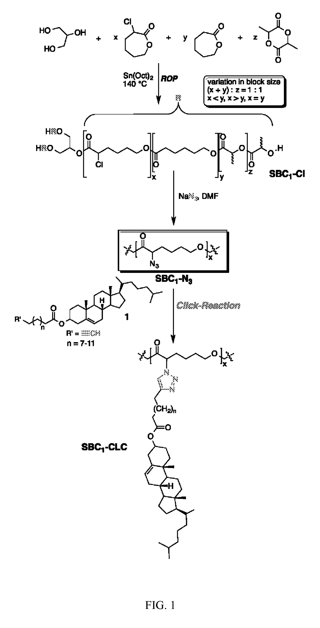 Biodegradable side chain liquid crystal elastomers: smart responsive scaffolds (SRS) for tissue regeneration