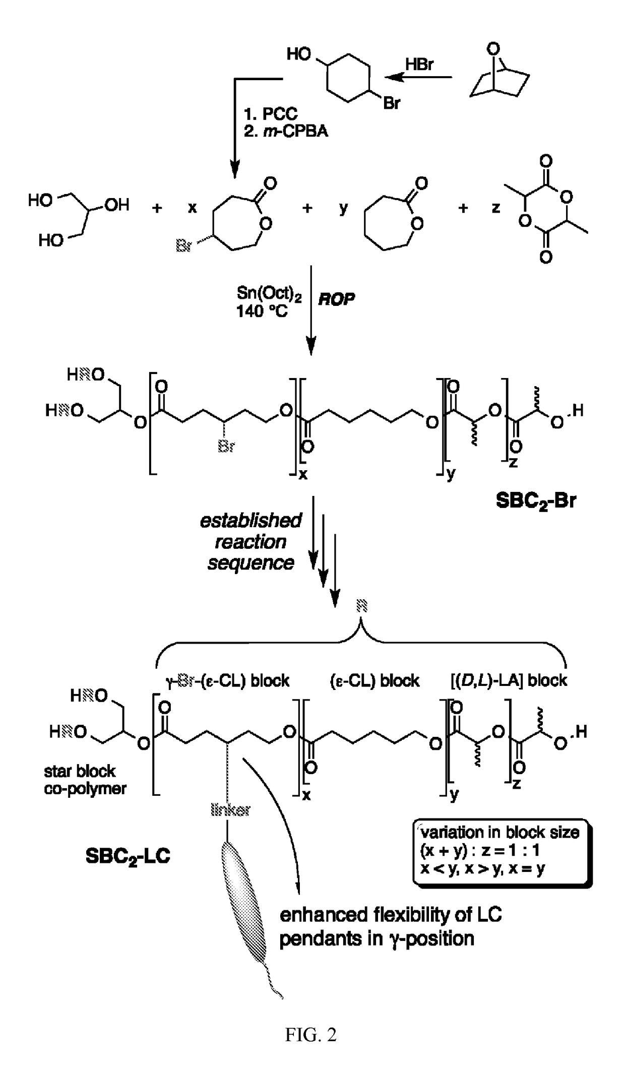 Biodegradable side chain liquid crystal elastomers: smart responsive scaffolds (SRS) for tissue regeneration