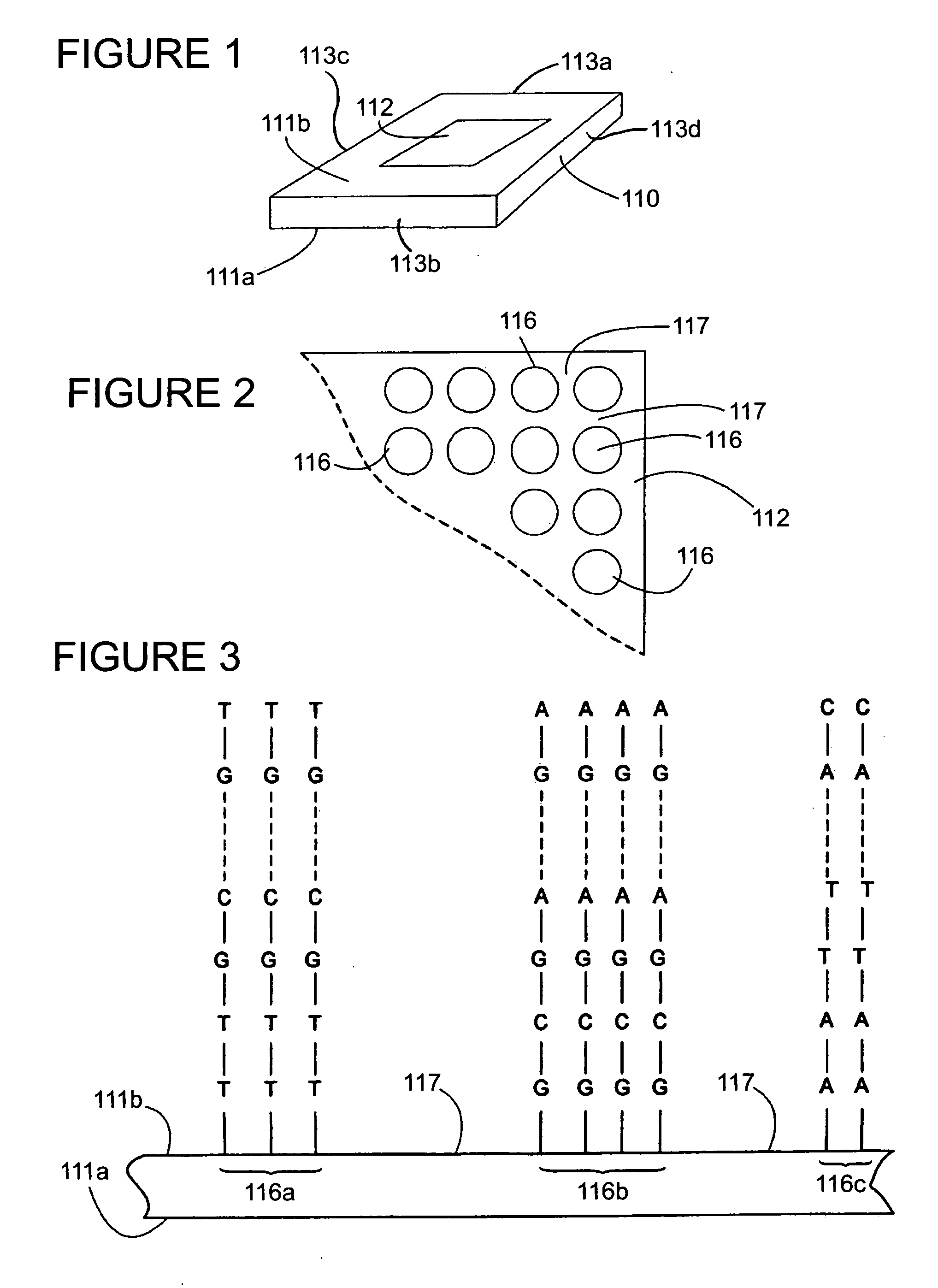 Methods for in situ generation of nucleic acid molecules