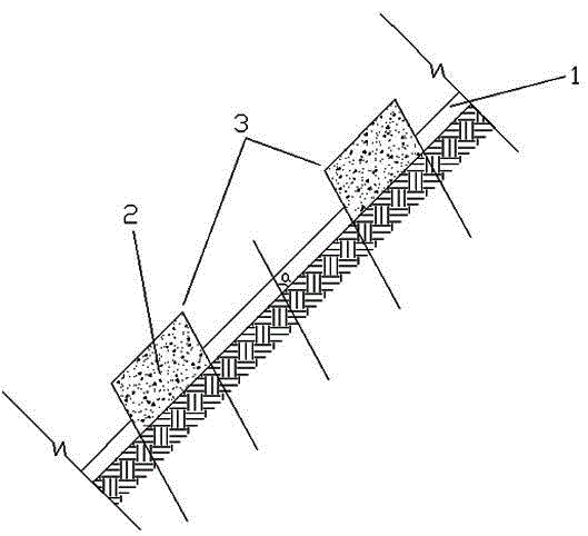 Side slope ecological protection method combining vegetation nursery grooves with hung-net spray-seeding